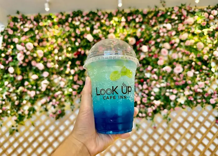 Look Up Cafe *