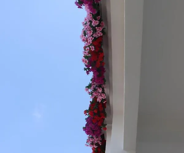Hostel Look Up Cafe Siem Reap